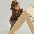 ladder slide