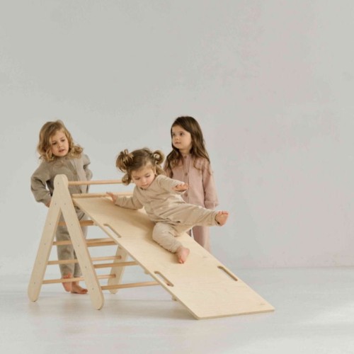ladder slide