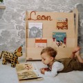 bookcase m