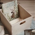 toy chest