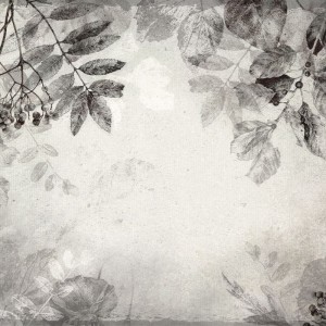 TAPETA HERBARIUM WARM GREY - MALUMI