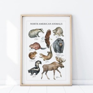 PLAKAT ZWIERZĘTA AMERYKA PÓŁNOCNA P480 - YOKO DESIGN