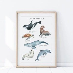 PLAKAT ZWIERZĘTA OCEAN P477 - YOKO DESIGN