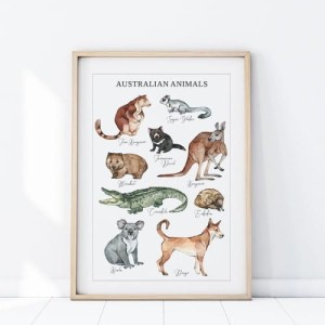 PLAKAT ZWIERZĘTA AUSTRALIA P481 - YOKO DESIGN