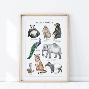 PLAKAT ZWIERZĘTA AZJA P482 - YOKO DESIGN