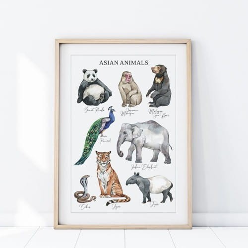 plakat zwierzeta azja