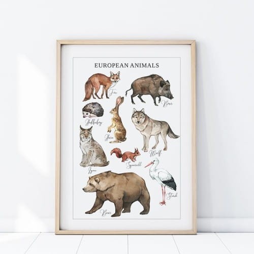 plakat zwierzęta europa