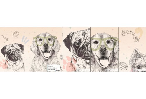 doggies-rainbow-probka.jpg