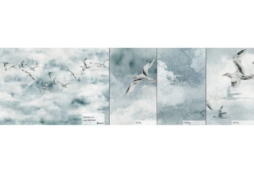seagulls-probka.jpg