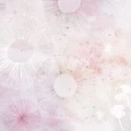 tapeta dmuchawce rose